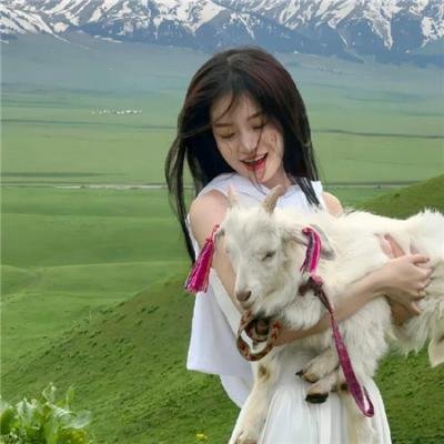 狼皮之下封面